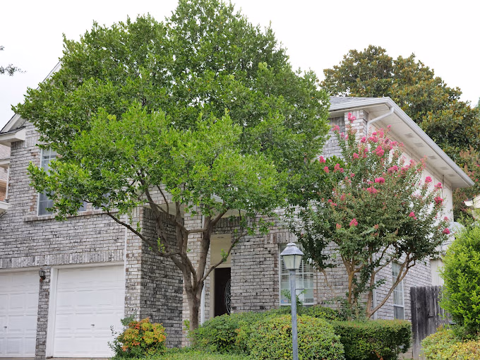 Signs You Need a Roofing Contractor Fast